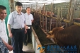 以监督执纪为抓手，层层压实责任，坚决打好脱贫攻坚战