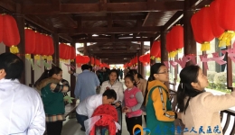 庆元宵，你我同行！