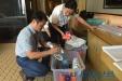 南宁市第二人民医院圆满完成2016年“两会一节”医疗卫生保障任务
