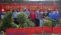 我院积极参与建设“花样江南”活动