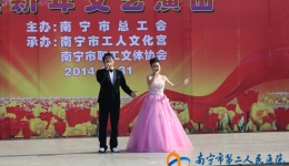 我院参加南宁市“送温暖，送文化，送欢乐”迎新年文艺演出