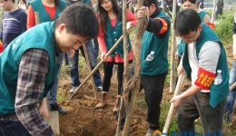 我院组织青年志愿者义务植树活动
