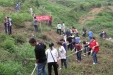 为地球添一分绿色——我院组织职工开展义务植树活动