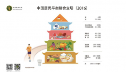 中国居民平衡膳食模式的特点