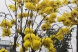 点滴之间·性命所系