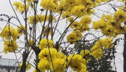 点滴之间·性命所系