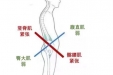 带您了解下交叉综合征