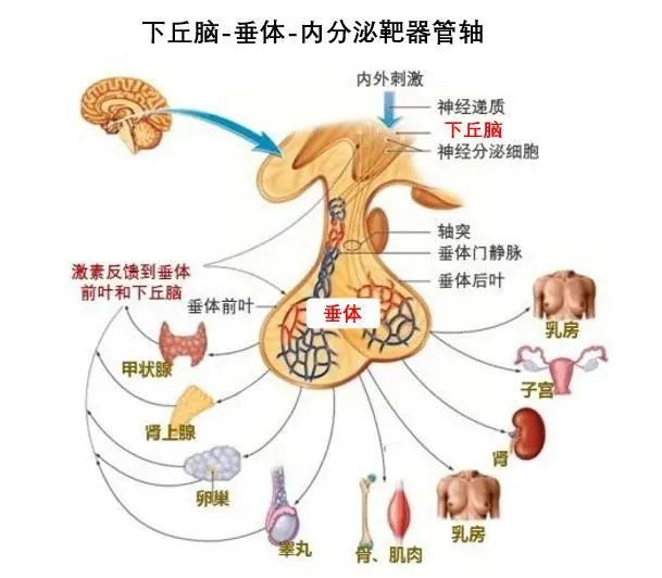 图片 1