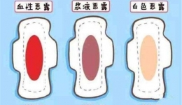 产后恶露多久干净？做好这四点更有效！