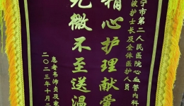 锦旗连连，赞誉满满