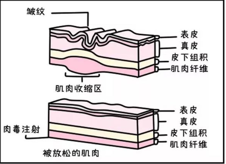 图片 6