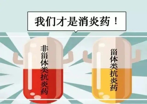 我们才是消炎药图片.JPG